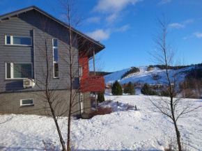 Himos Villa Himalaja Jämsä